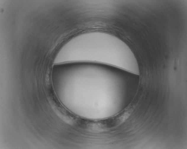 X0000052610408200507010944