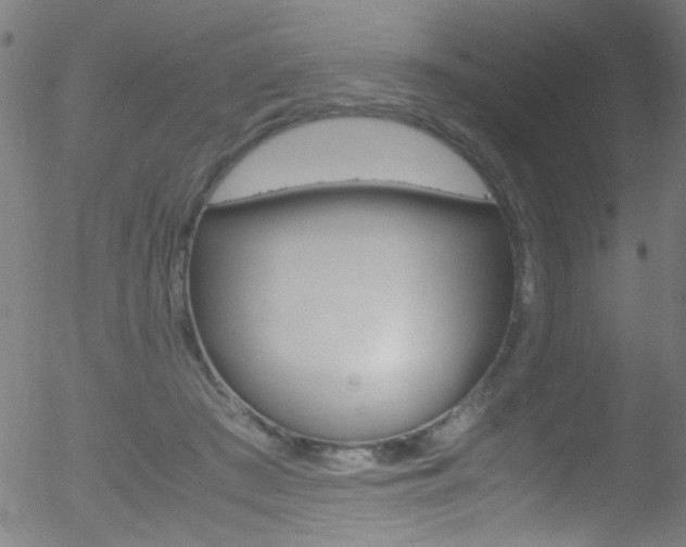 X0000052610409200507010944