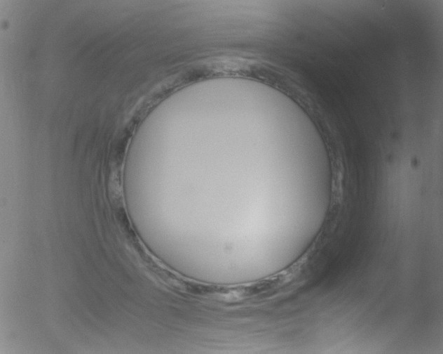 X0000052610411200507010944