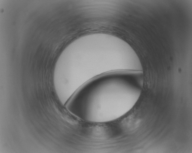 X0000052610412200507010944