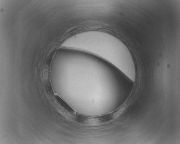 X0000052610413200507010944