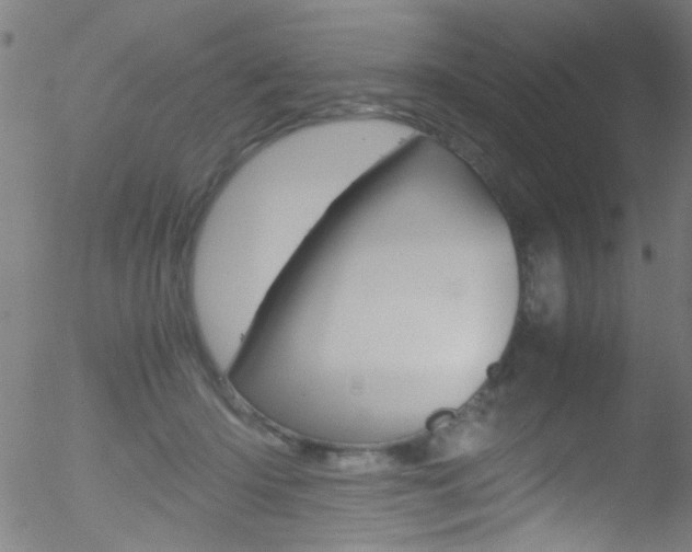 X0000052610414200507010944