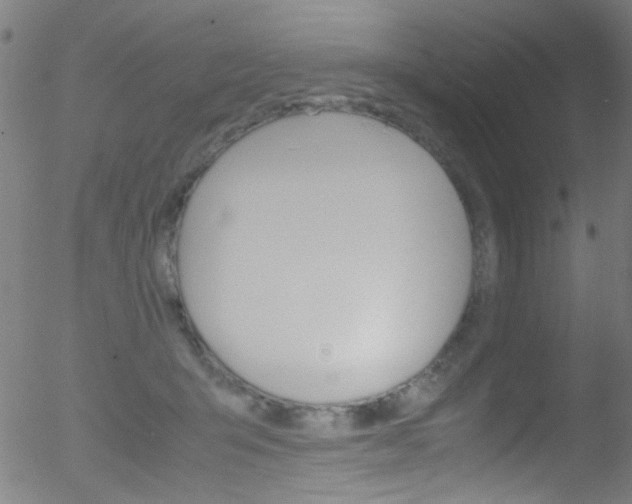 X0000052610415200507010944