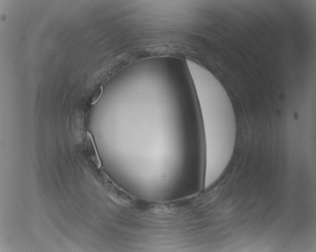 X0000052610416200507010944