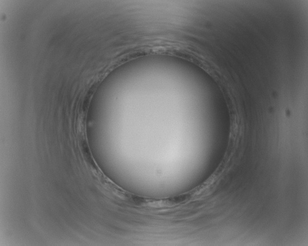 X0000052610417200507010944