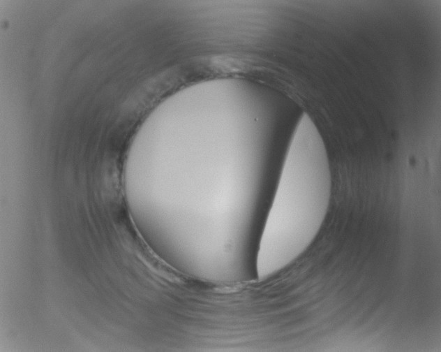 X0000052610418200507010944