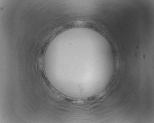 X0000052610419200507010944