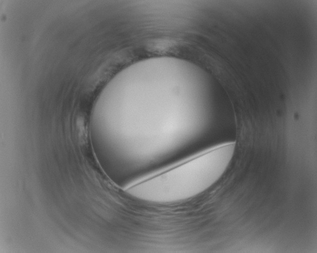 X0000052610420200507010944