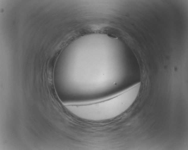 X0000052610421200507010944