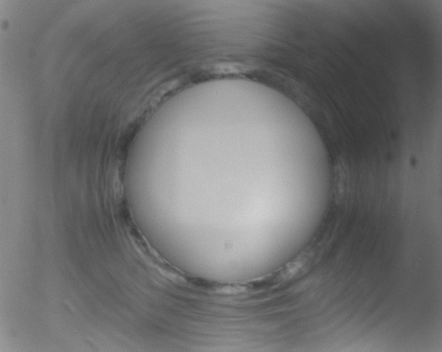 X0000052610422200507010944