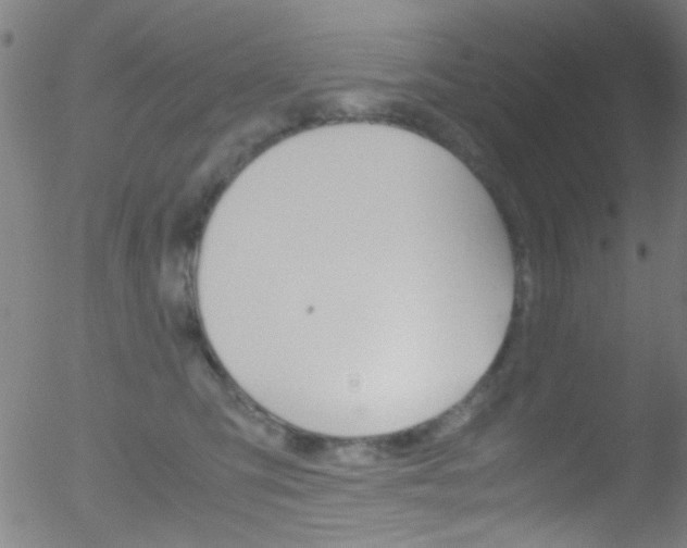 X0000052610423200507010944