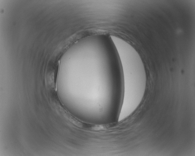 X0000052610425200507010944