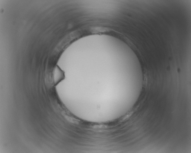 X0000052610426200507010944