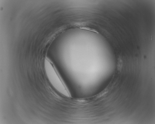 X0000052610428200507010943