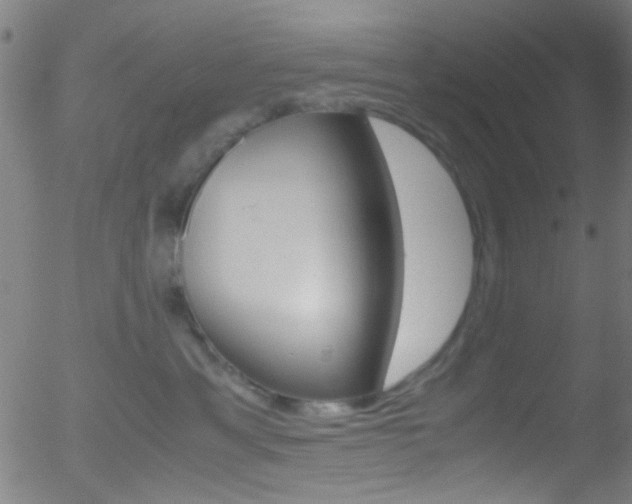 X0000052610429200507010943