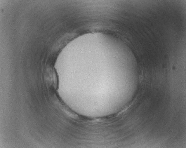 X0000052610430200507010943