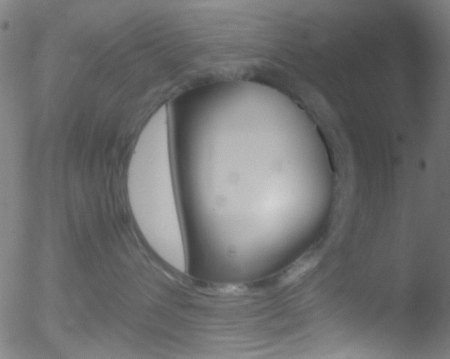 X0000052610432200507010943