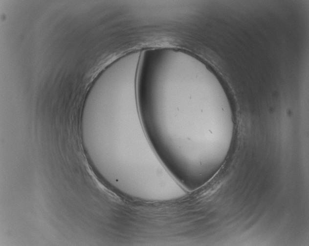 X0000052610433200507010943