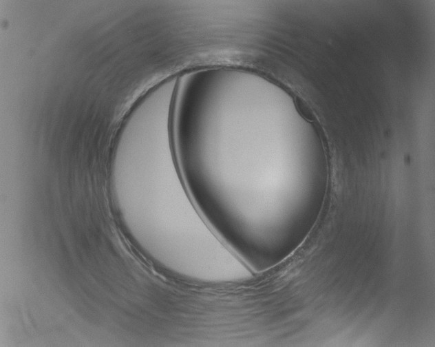 X0000052610434200507010943