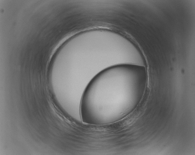 X0000052610435200507010943