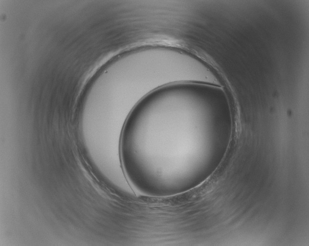 X0000052610436200507010943