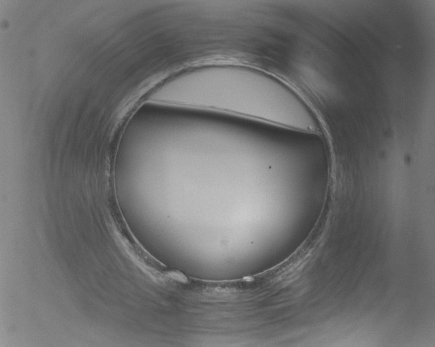 X0000052610437200507010943