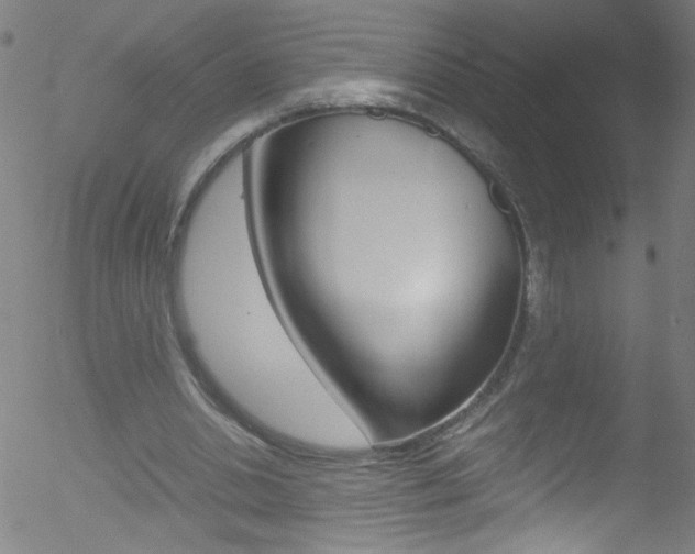 X0000052610438200507010943