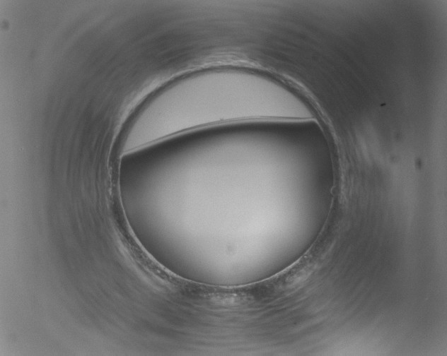 X0000052610439200507010943