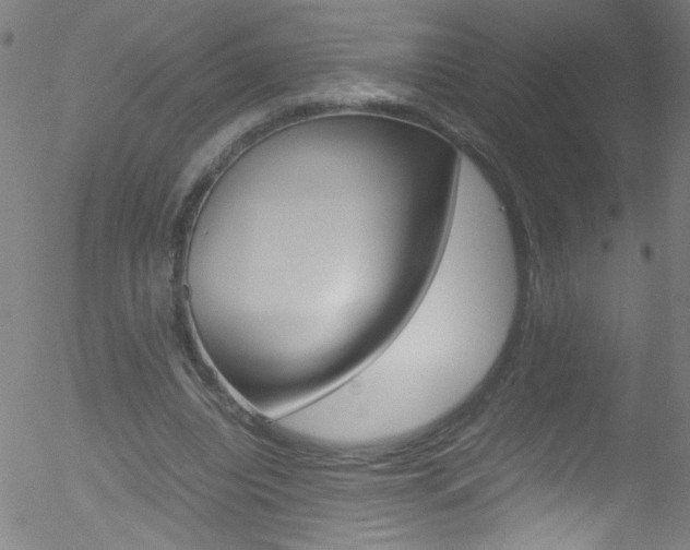 X0000052610440200507010943