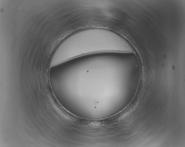 X0000052610441200507010943