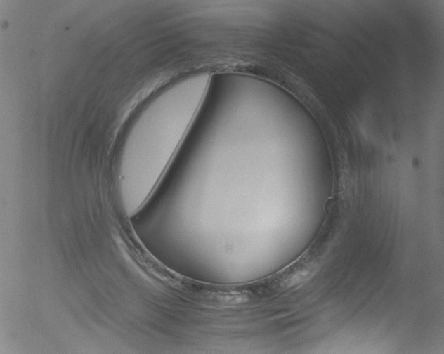 X0000052610443200507010943