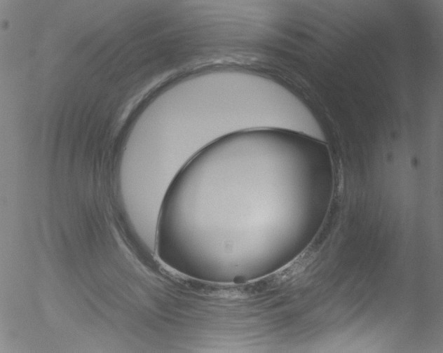 X0000052610444200507010943