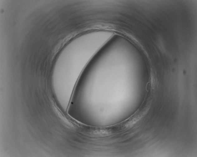 X0000052610445200507010943