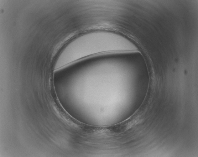 X0000052610446200507010943