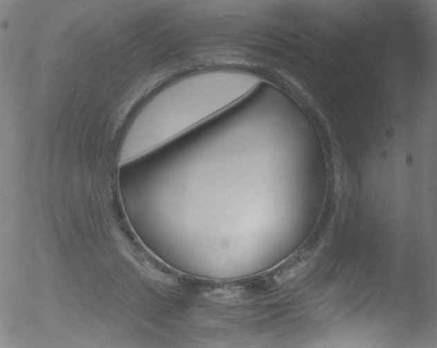 X0000052610447200507010943