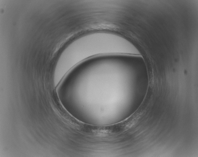 X0000052610448200507010943