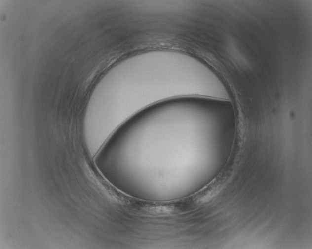 X0000052610449200507010943