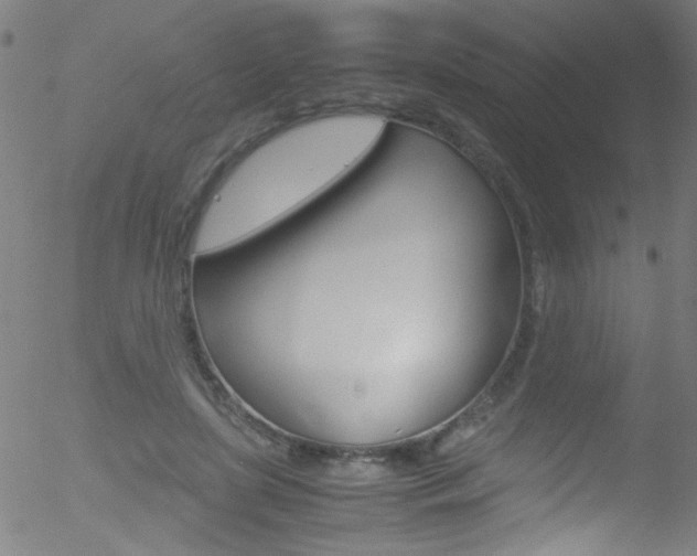 X0000052610451200507010943