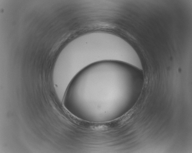 X0000052610452200507010943