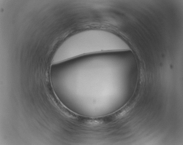 X0000052610453200507010943