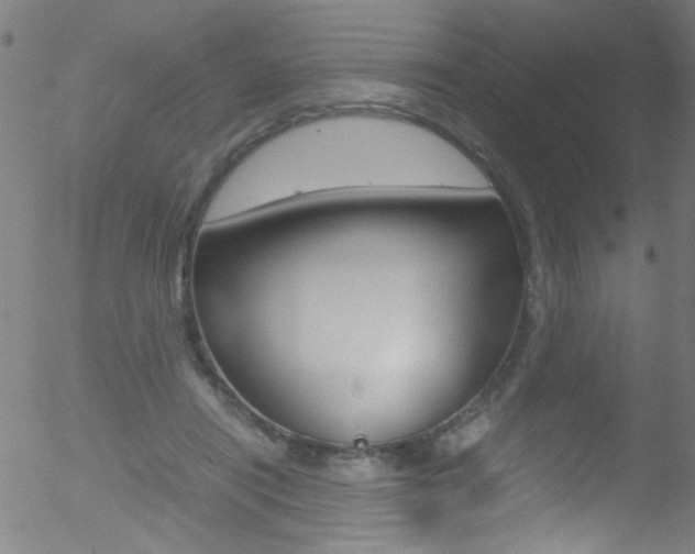 X0000052610454200507010943