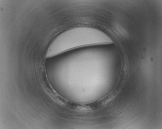 X0000052610455200507010943