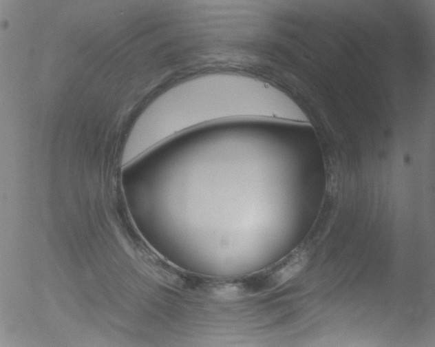 X0000052610456200507010943