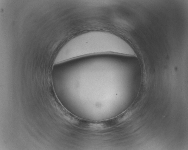 X0000052610457200507010943