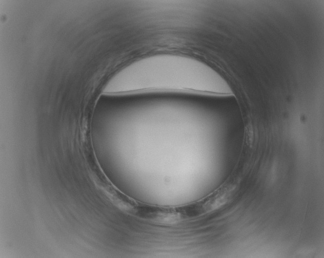 X0000052610458200507010943