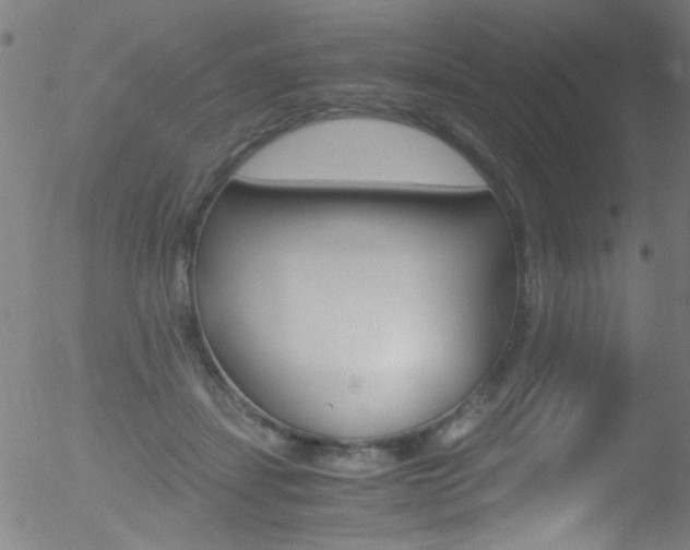 X0000052610459200507010943