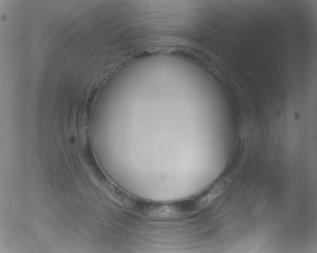 X0000052610460200507010943