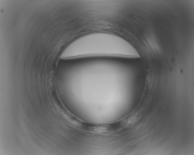 X0000052610462200507010943