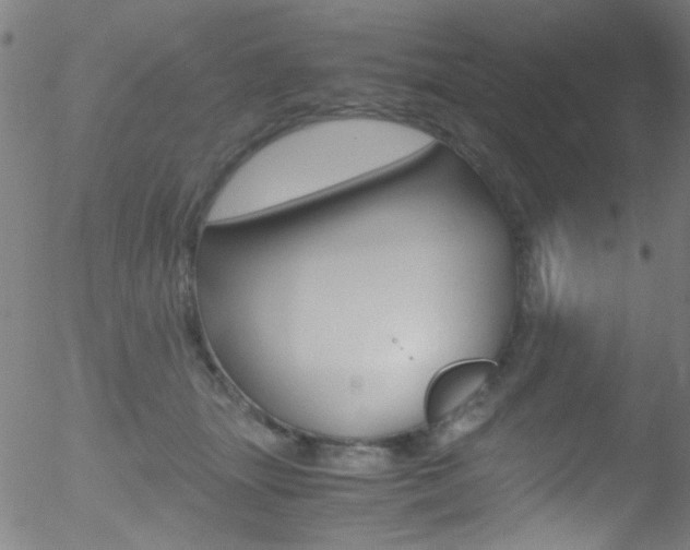 X0000052610463200507010943