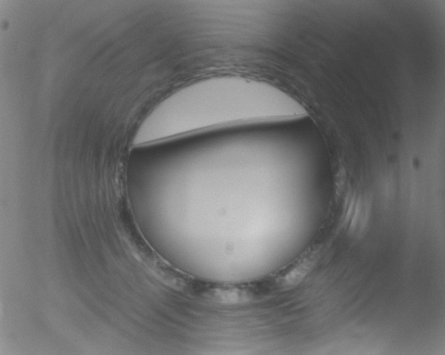 X0000052610464200507010943